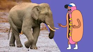 Surprising Elephant Facts Every Kid Should Know!