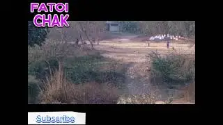 Why boys play cricket in local ground Has Just Gone Viral | boy playing cricket video