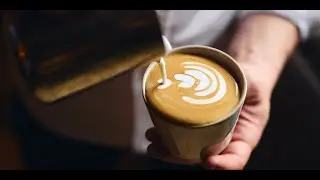 Speciality Coffee, Tailored for Your Business