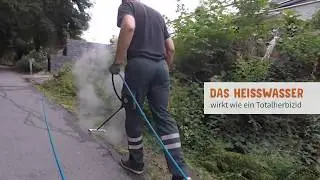 Ökologische Unkrautbekämpfung mit dem ECO WEEDKILLER