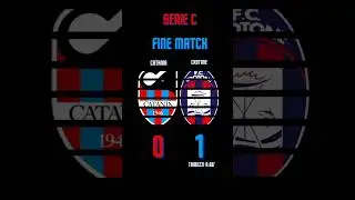 FINE MATCH  CATANIA-CROTONE 0-1