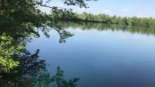 Nuddock Wood Lake Carp Fishing