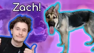 Picking up our first Dog! Welcome Home Zach