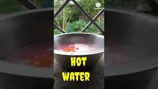 🔥lifeboy soap vs hot water 24h||simple science experiment ||Easy experiment #short #E_bull_jet #tren