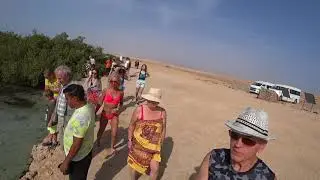 Национальный парк Рас-Мохаммед./ Ras - Mohammed National Park.