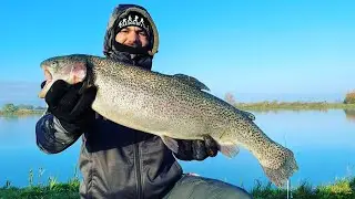 XXL Forellen in Auleben Caligehtangeln - im Osten #fishing #fishingvideo #forellenangeln
