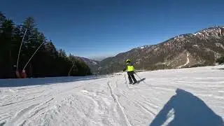 Alan top ski