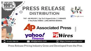 Press Release Pricing Industry Grew and Developed from the Pros