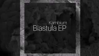 Kambium - NAND [KM03]