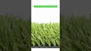 Humans of Late Capitalism - Artificial Turf #shorts #humansoflatecapitalism #biodiversity