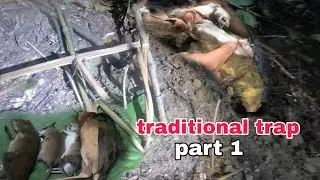 Traditional mouse trap/bamboo trap/@Ylsvlog 