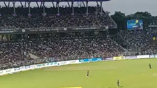jam packed Eden garden