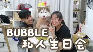 首次帮狗狗过生日和见到香米的狗狗 ！