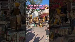 Animal Kingdom&rsquo;s Fun & Magical Performance! 🌟🎭 #disney #themeparks #disneyparks