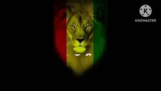 Willie Mack Bongo Natty Lyrics @SelectaAJ11