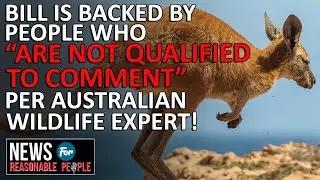 Oregon plan to ban sale of kangaroo products is &lsquo;emotive misinformation&rsquo;, industry says
