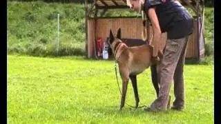 Unterordnung 9 Monate.MP4