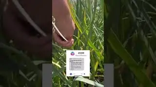 Ask JOZIE&trade;, precision farming can significantly help whether you&rsquo;re a small or large scale farmer.