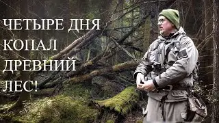 ЧЕТЫРЕ ДНЯ КОПАЛ В ЛЕСУ! ПОЛУЧИЛ ОГРОМНУЮ РАДОСТЬ ОТ НАХОДОК!