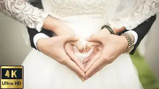 Romantic wedding piano music - 2 hours of wedding classical music - Wedding music instrumental 💍💎