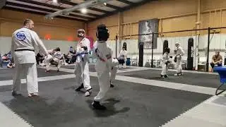 Taekwondo Purple Belt test Sparring Victory Martial Arts