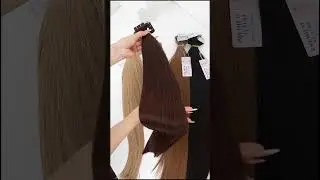 Best Hair Colors from Apohair