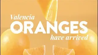 Valencia Oranges: Back in Season &ndash; Sunkist