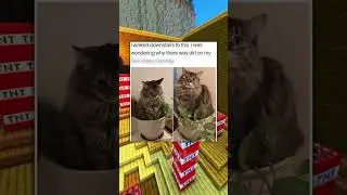 Cat Logic Memes