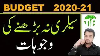 Budget deficit | budget rent a car | budgeting 2020 2021   Salary Increment in this budget,