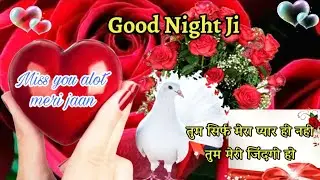 good night shayari status video download sharechat|Tum sirf Mera pyar hi nahi tum mere jindgi ho