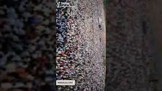 Video of Mangalore protest aginst CAA,NRC,NPR in Adyar  with over 3 lakhs protesters &hearts;️