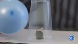 EXPERIMENTO F&Iacute;SICA OSCAR CICADA 1337