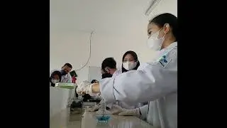 Kelompok 10 