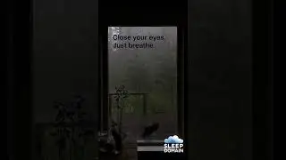 Rainy Window + 528Hz = Healing Calm | Sleep Deeply #sleepmusic #anxietyrelief #deepsleep