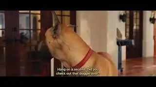 Marmaduke (2010) Marmaduke And Phil & Deb New York City Smell House Home Scene