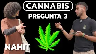&iquest;Qu&eacute; Opinas de los Puntos 420? (Zonas Legales para Consumir) | Street Talk | Preguntando a Mariguano