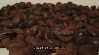 Top 5 Trung Nguy&ecirc;n Coffee Creations Every Coffee Lover Must Try