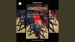 Altenkirchen im Westerwald - Track 11.2 & Altenkirchen im Westerwald - Track 12.1 -...
