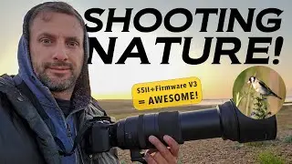 Capturing nature with the Panasonic S5ii + firmware version 3. Sigma 150-600mm DG DN Sport