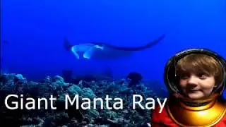 The Wonderful World of Fern Forest Family - Landons Deep Sea Adventure / Creatures of the Oceans