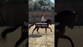 Spanish dressage 🇪🇸 La Doma Clasica 🏇 #horse #horseriding #dressage #spain #travel #horsegirl