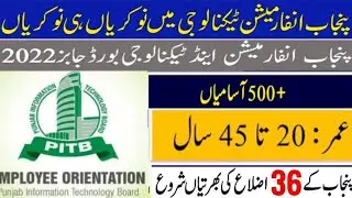 punjab information technology board jobs 2022
