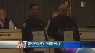 Brave Officers