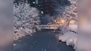 New nature whatsapp status video 2020/best nature status 2020/nature love/best hindi song status