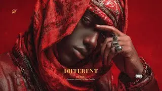 Different Remix | SNX 