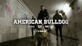 YMJ - AMERICAN BULLDOG / АМЕРИКАНСКИ БУЛДОГ [OFFICIAL VIDEO] [PROD.BY RUSTY]