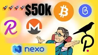 REEF Finance Update + Bitcoin & Polkadot Set New ATH!! 🚀
