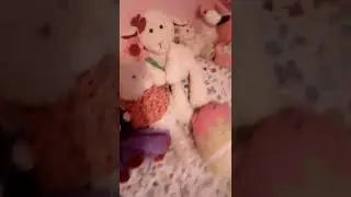 Scentsy buddy collection