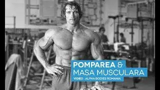 Masa Musculara: Pompare sau Incarcare Progresiva? Exemple de progresii