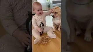 Baby's First Haircut... and Dog's New Look! ✂️🐶#BabyHaircut #DogMakeover #CuteMoments #FunnyPets